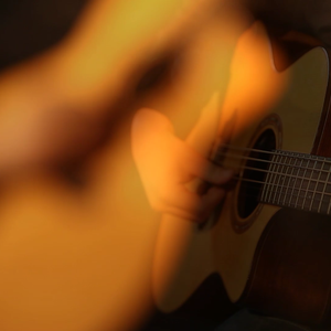 老司机精品影院
